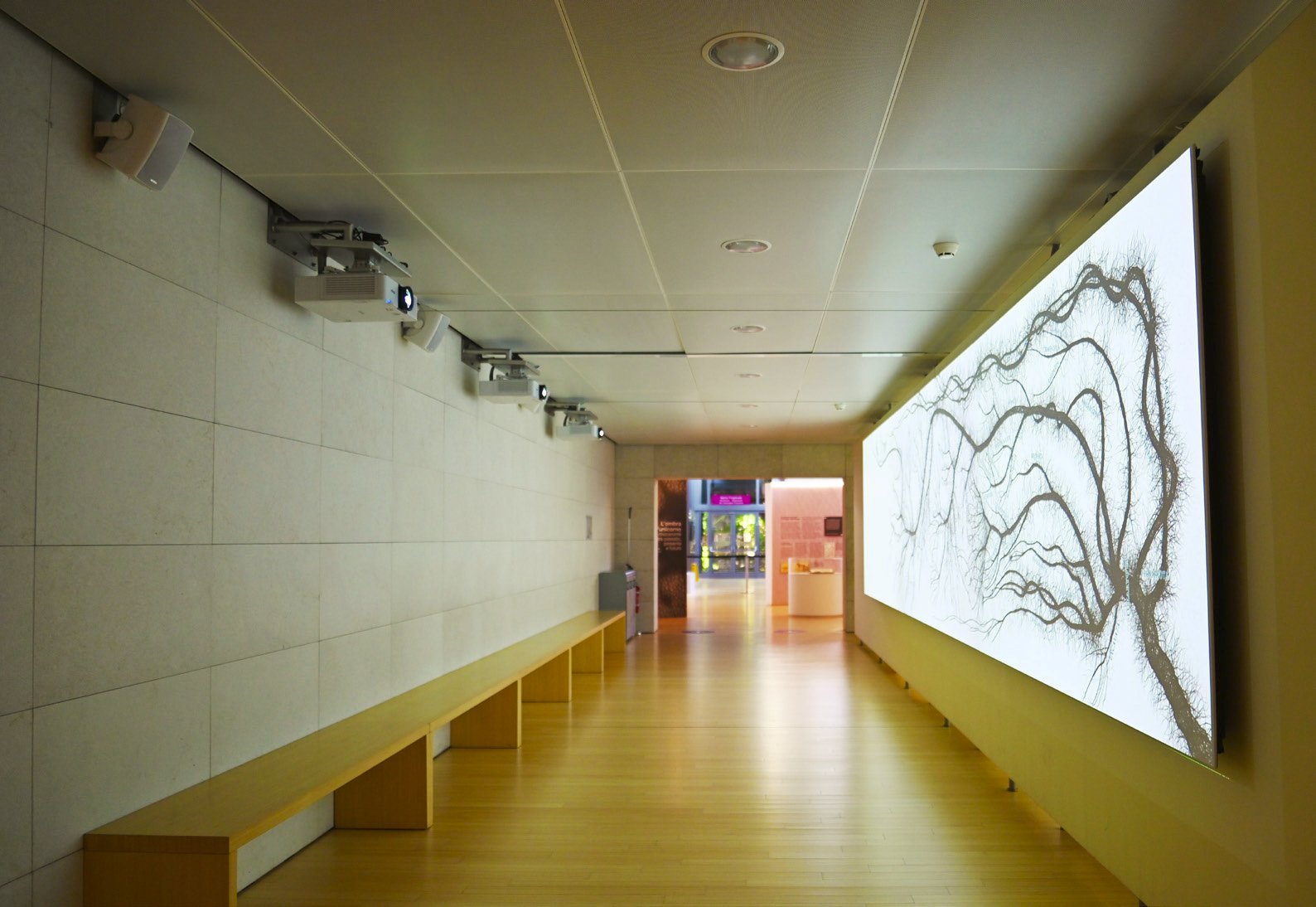 Corridoio del MUSE di Trento con proiettori, diffusori audio e grande schermo retroilluminato