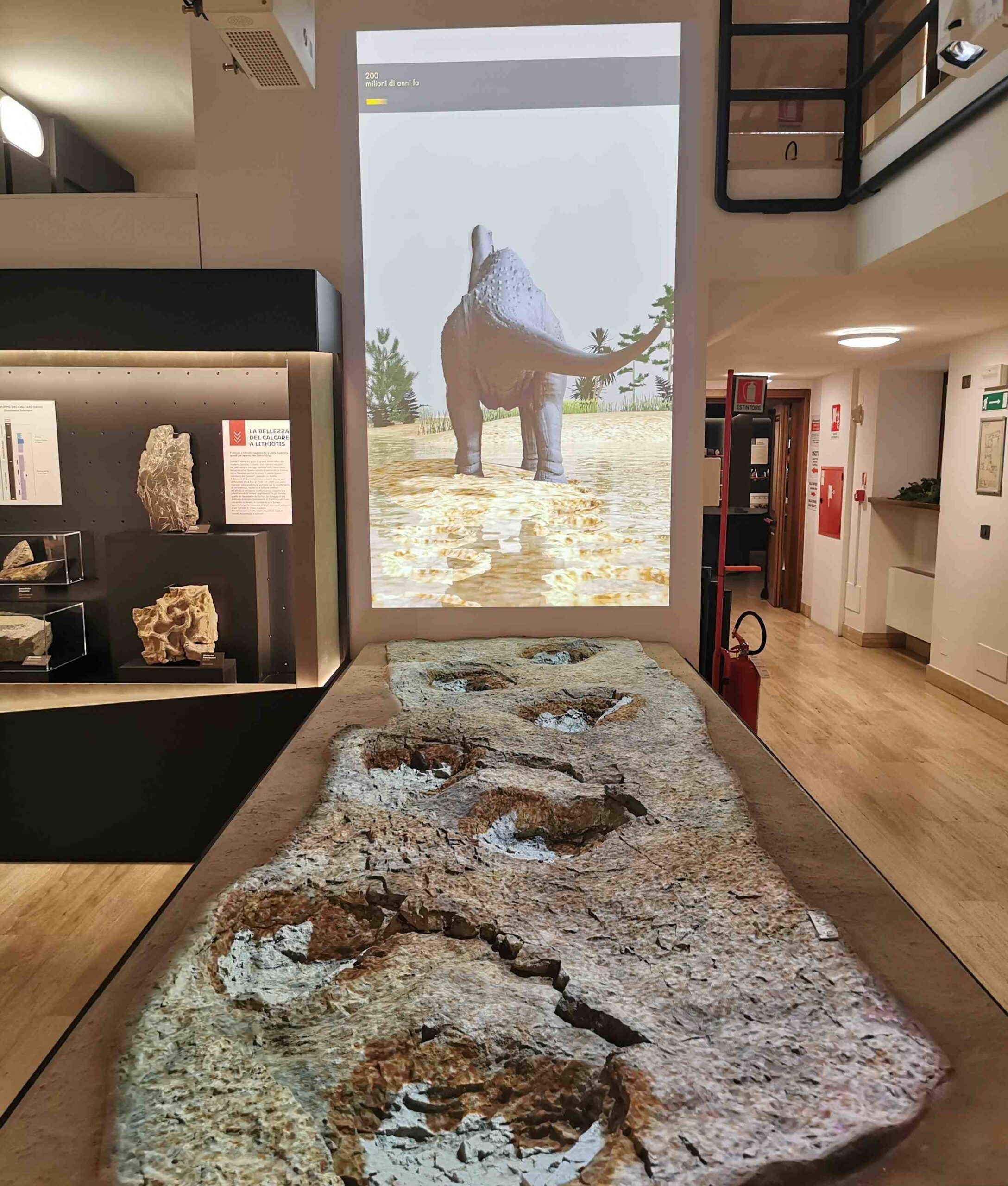 Installazione multimediale con orme fossili di dinosauro e proiezione al Museo Civico di Rovereto