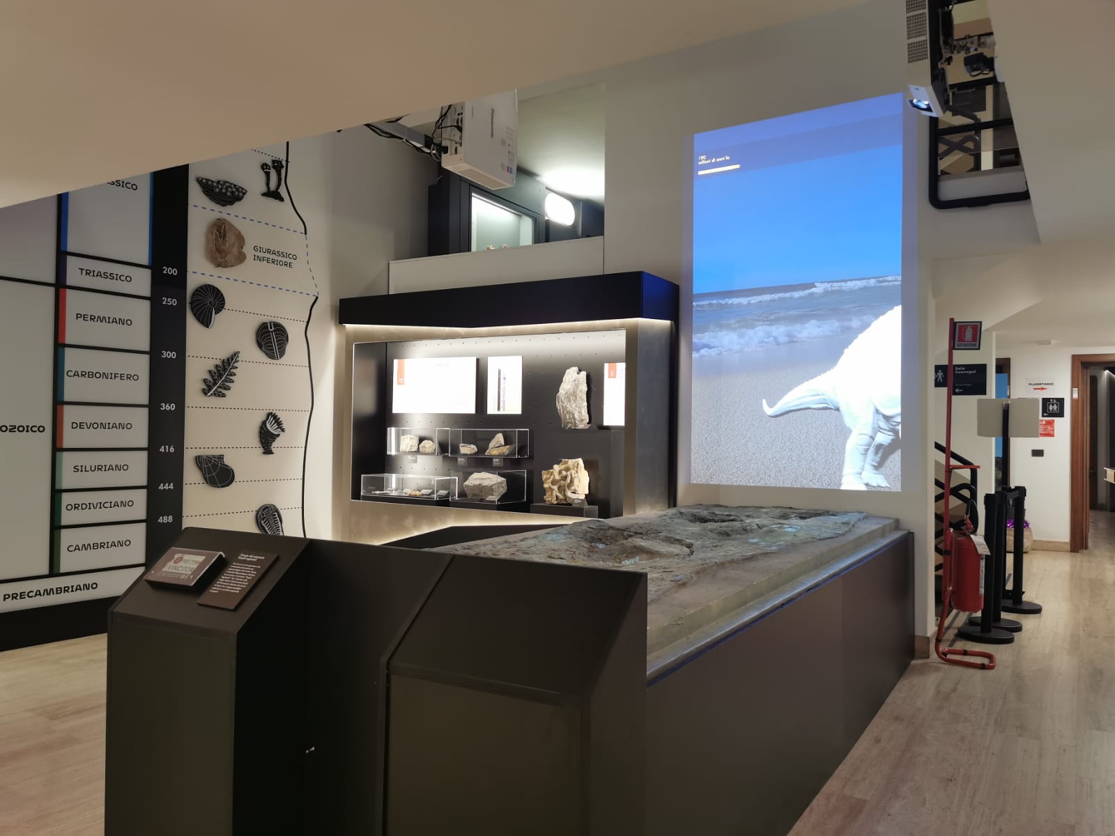 Sezione paleontologica del Museo Civico di Rovereto con scala geologica, fossili e proiezione dinosauro