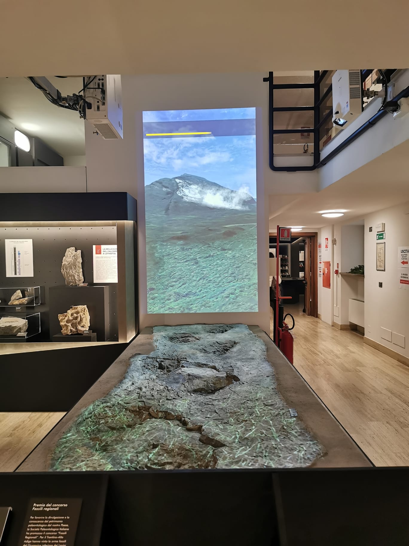 Installazione con orme fossili e proiezione di paesaggio marino preistorico al Museo Civico di Rovereto
