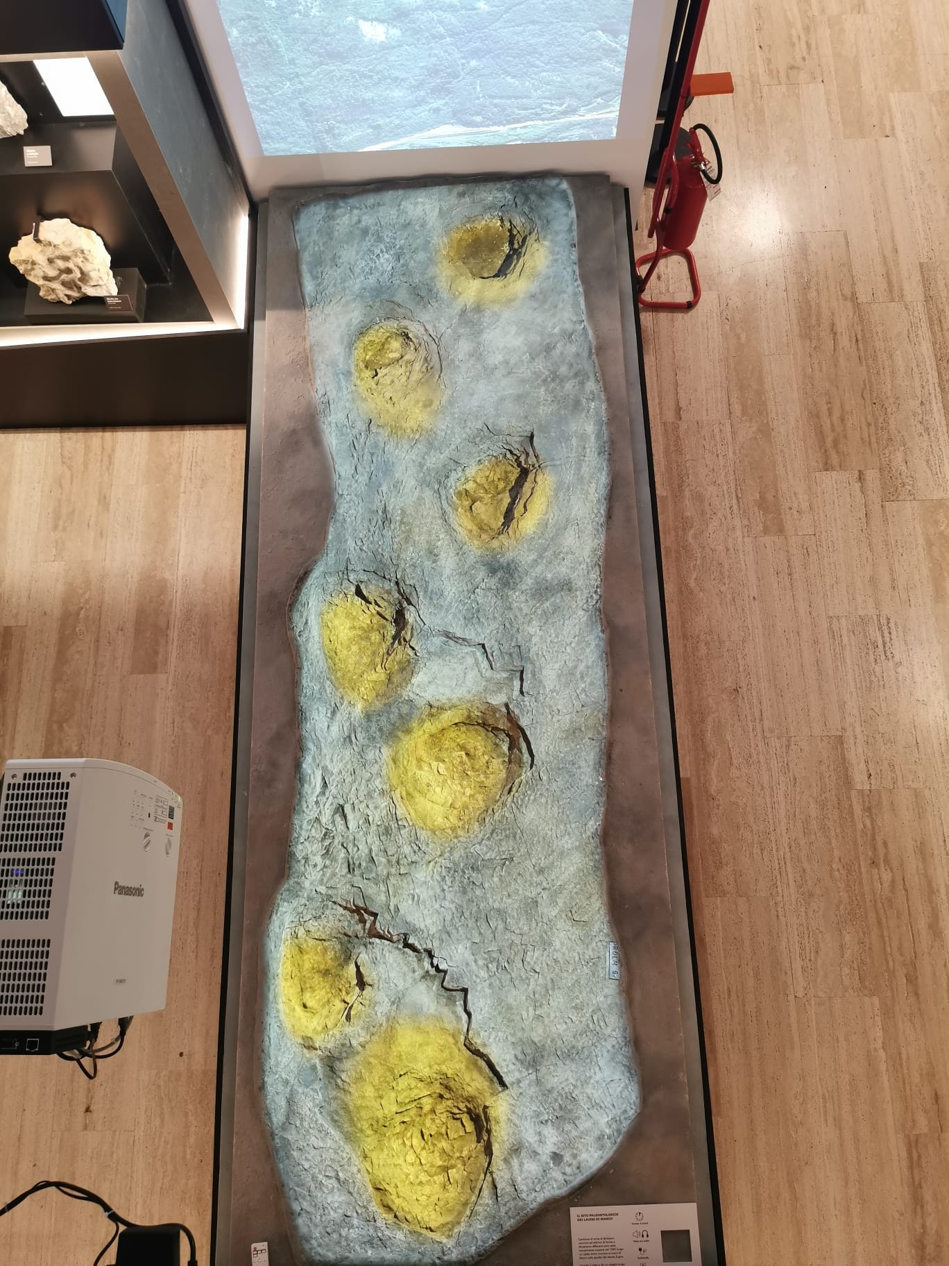 Dettaglio dall'alto del calco di orme fossili con proiezione al Museo Civico di Rovereto