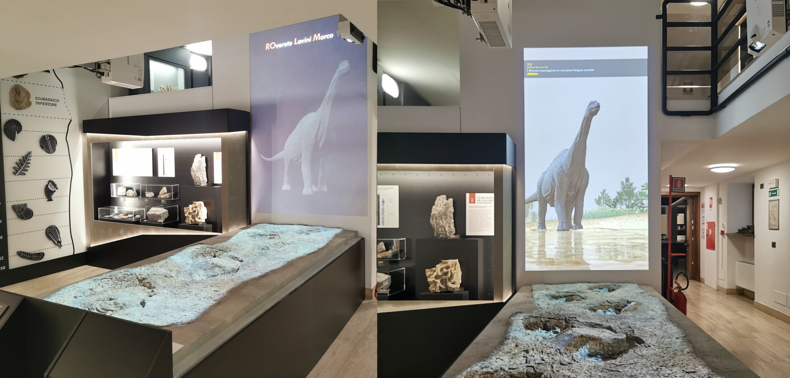 Vista panoramica dell'installazione paleontologica con proiezioni di dinosauri al Museo Civico di Rovereto