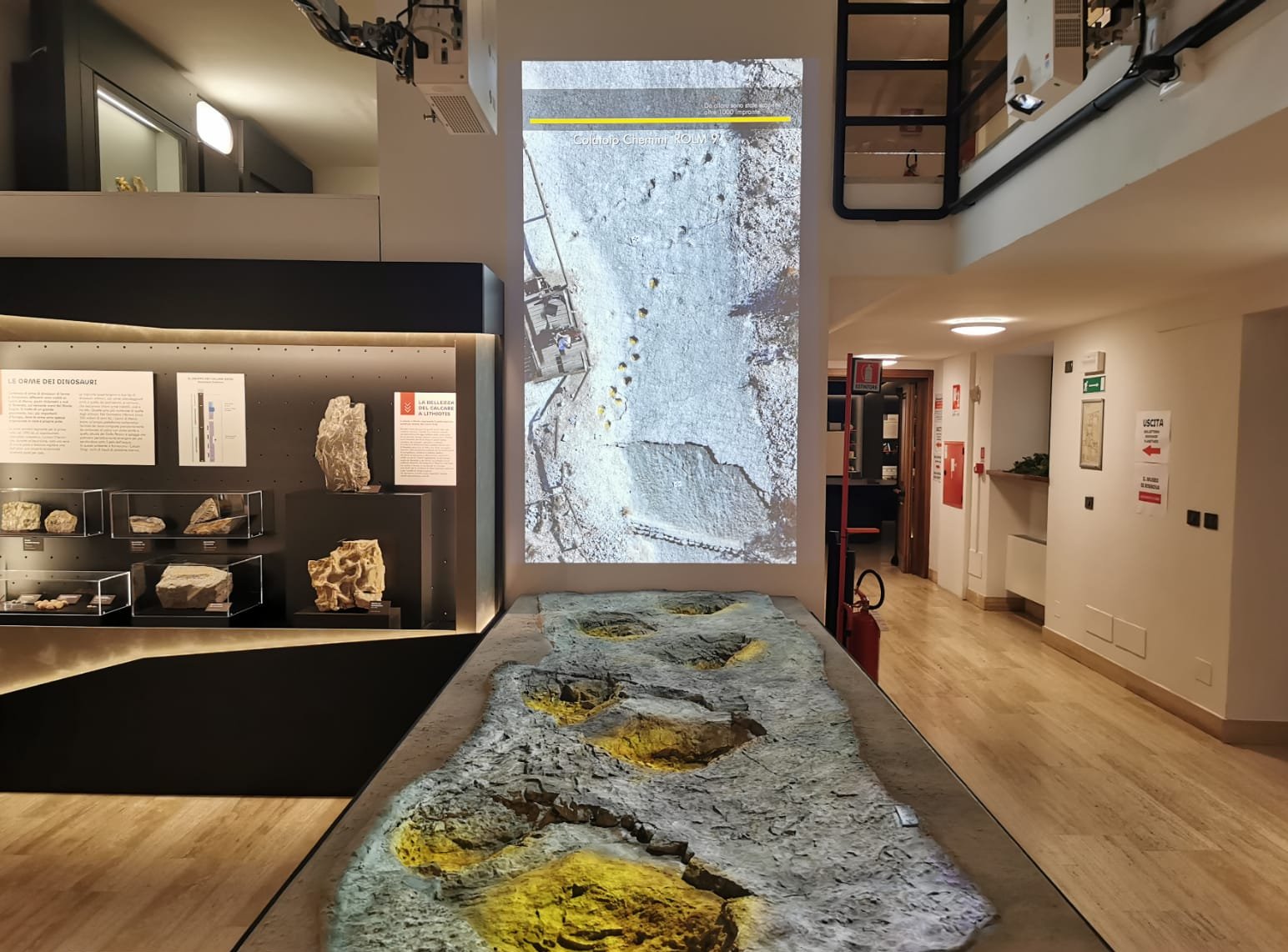 Sala espositiva del Museo Civico di Rovereto con proiezione a parete e reperti geologici
