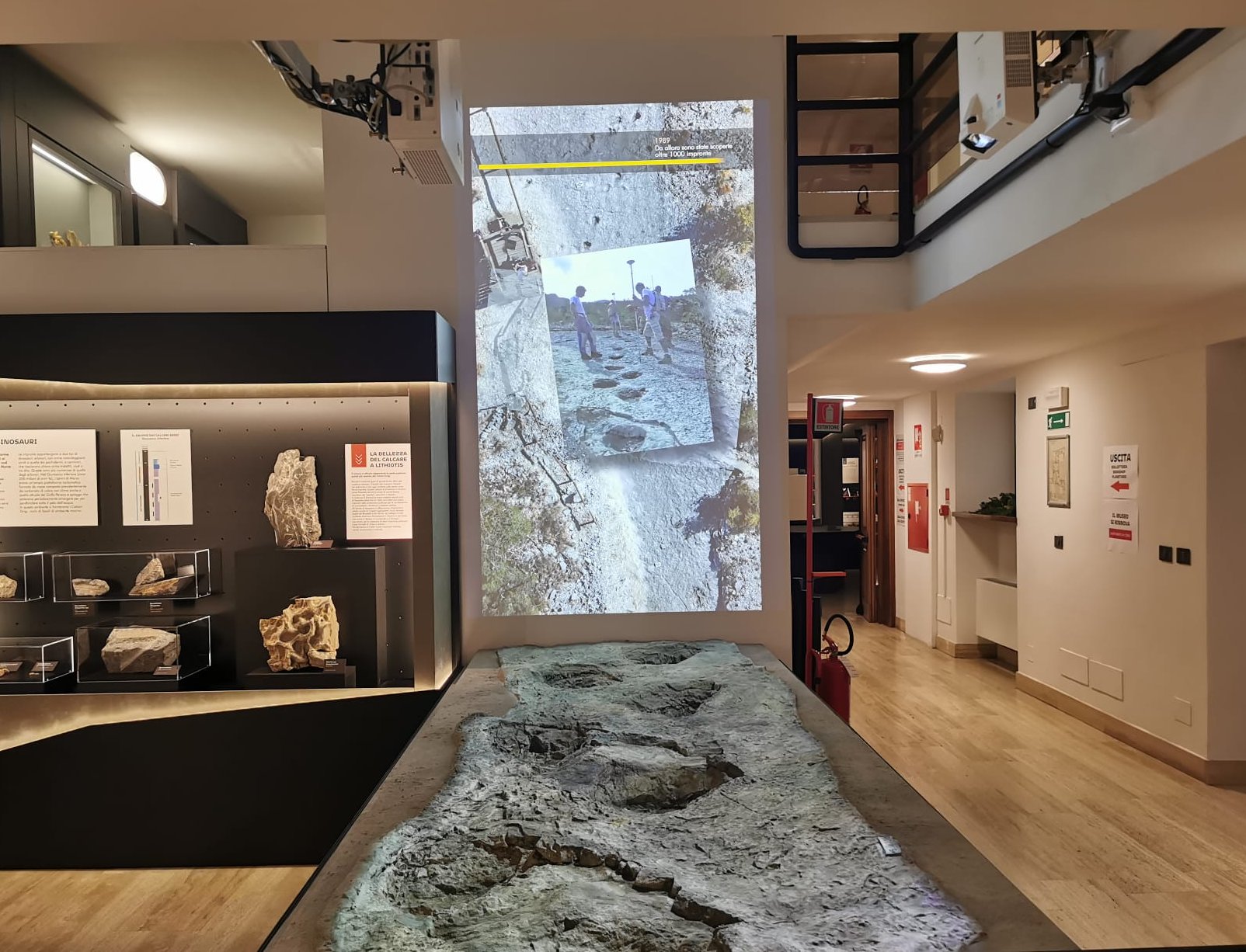 Installazione multimediale con proiezione su grande schermo al Museo Civico di Rovereto