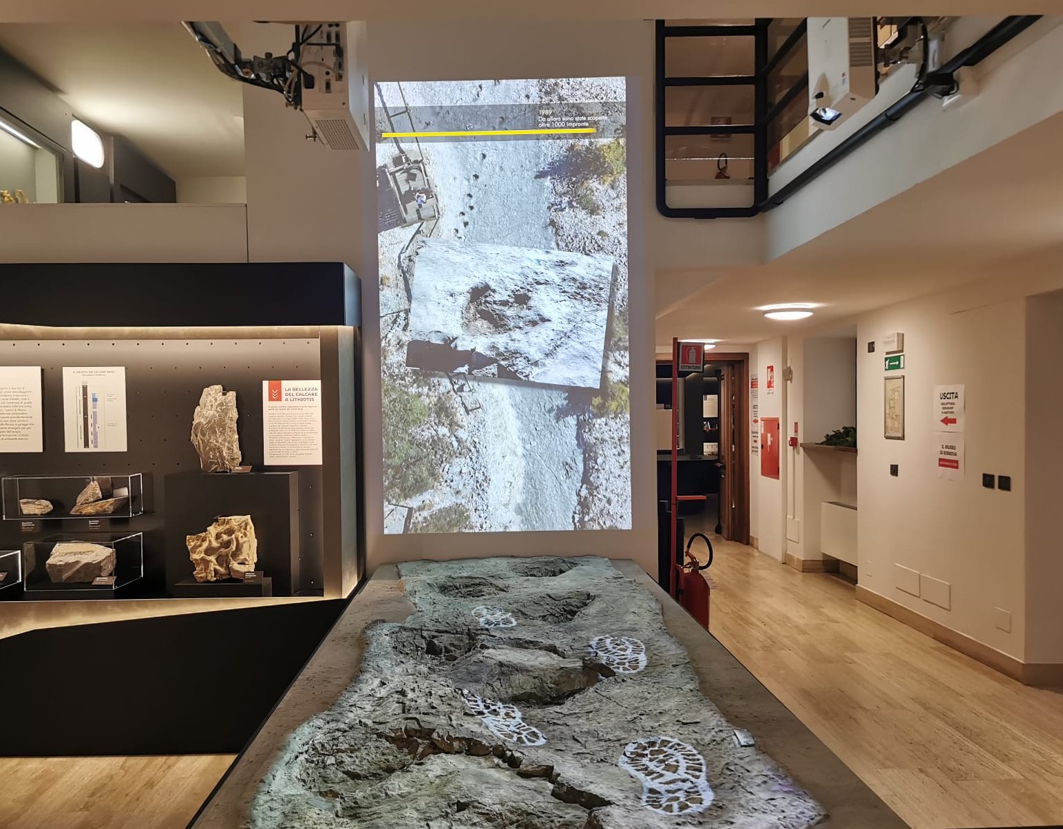 Sala del Museo Civico di Rovereto con videoproiezione e teche espositive