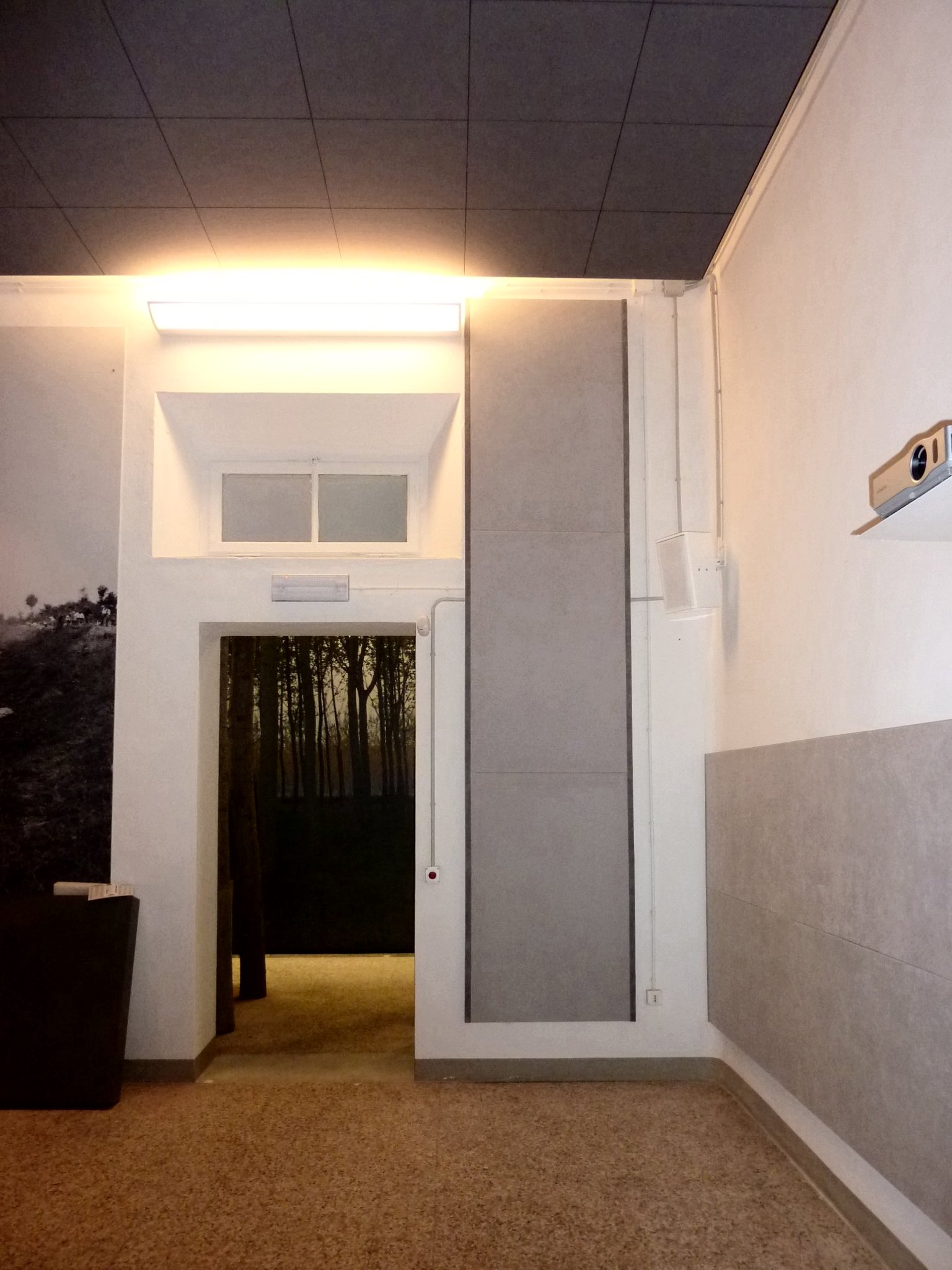 Ingresso sala del Museo Guareschi con controsoffitto fonoassorbente e trattamento acustico